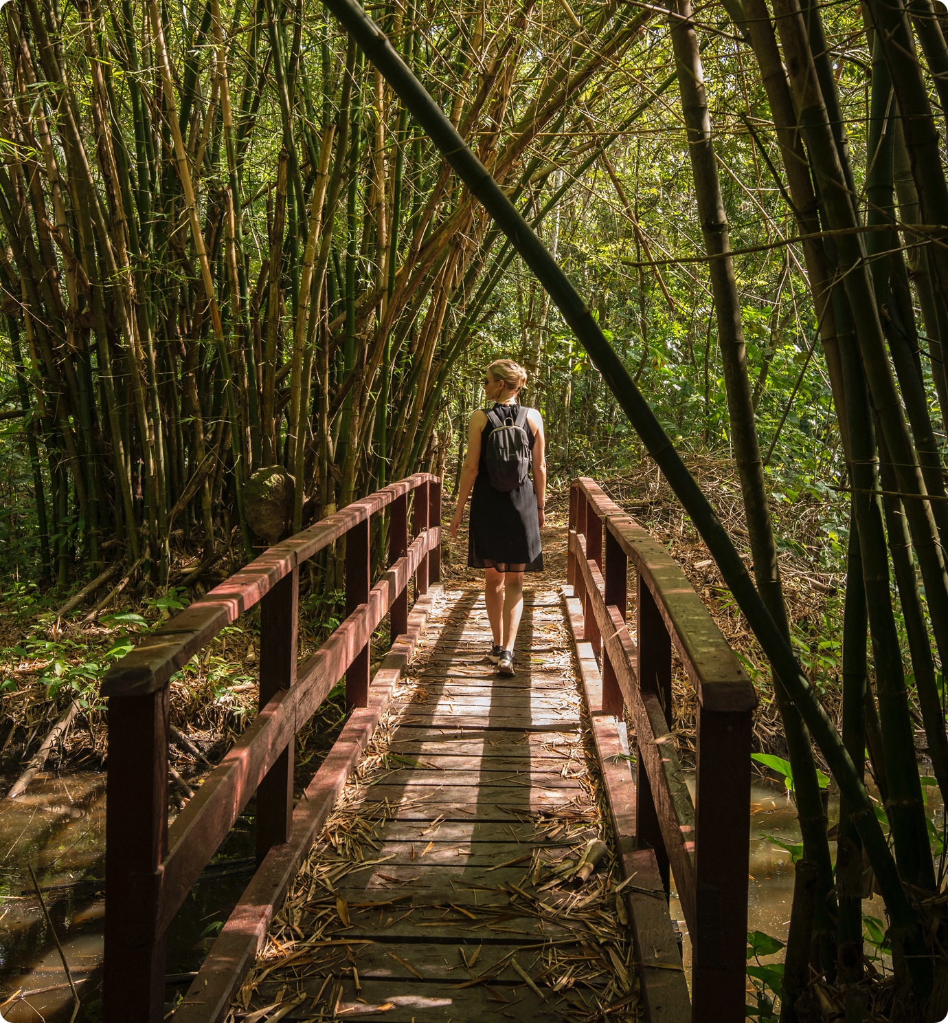 Natuurpark Suriname